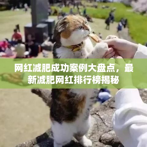 网红减肥成功案例大盘点，最新减肥网红排行榜揭秘