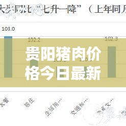 贵阳猪肉价格今日最新动态更新通知