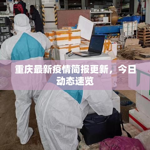 重庆最新疫情简报更新,今日动态速览