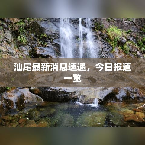 汕尾最新消息速递，今日报道一览