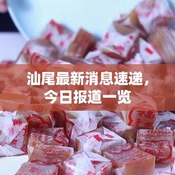 汕尾最新消息速递,今日报道一览