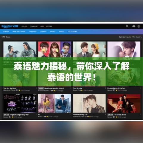 泰语魅力揭秘，带你深入了解泰语的世界！