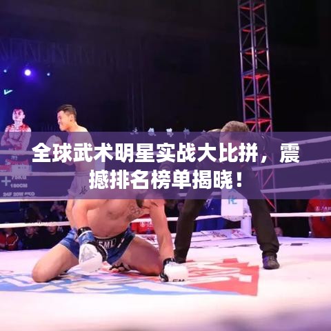 全球武术明星实战大比拼,震撼排名榜单揭晓!