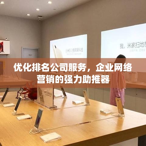 优化排名公司服务，企业网络营销的强力助推器
