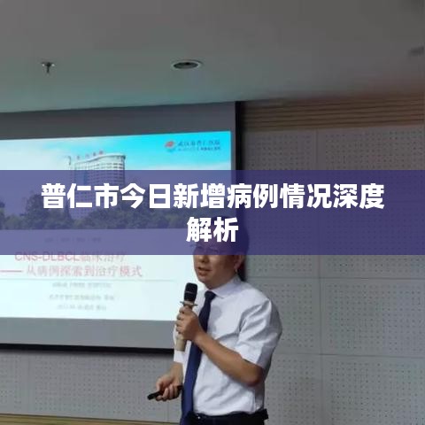 普仁市今日新增病例情况深度解析