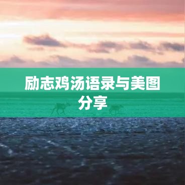 励志鸡汤语录与美图分享