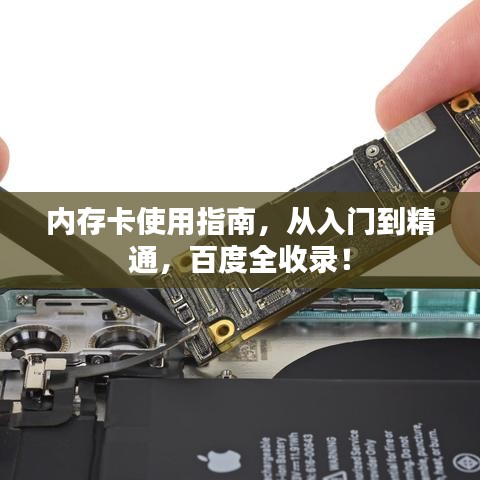 名士风流 第4页