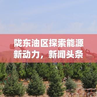 陇东油区探索能源新动力，新闻头条热议新进展