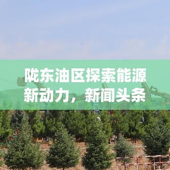 陇东油区探索能源新动力,新闻头条热议新进展