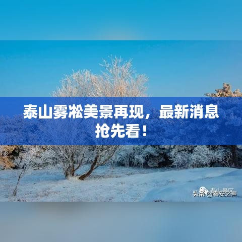 泰山雾凇美景再现,最新消息抢先看!