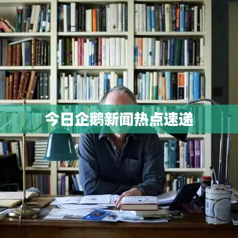 今日企鹅新闻热点速递