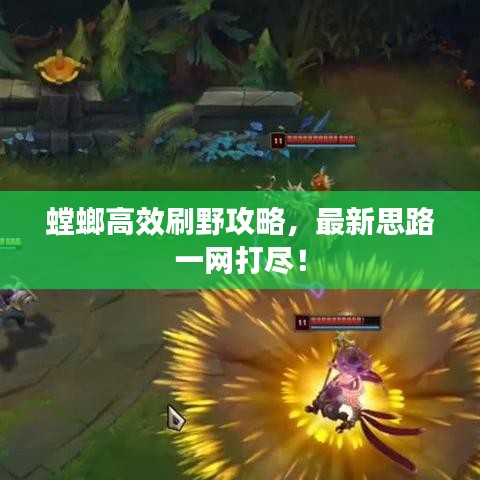 螳螂高效刷野攻略,最新思路一网打尽!