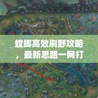 螳螂高效刷野攻略,最新思路一网打尽!