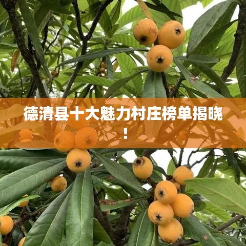 德清县十大魅力村庄榜单揭晓!