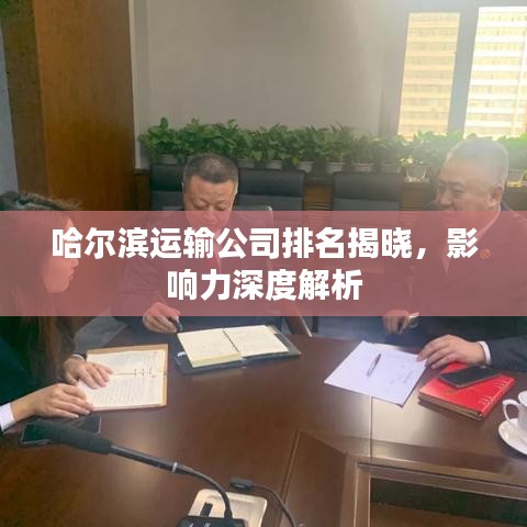 哈尔滨运输公司排名揭晓,影响力深度解析
