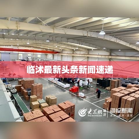 临沭最新头条新闻速递