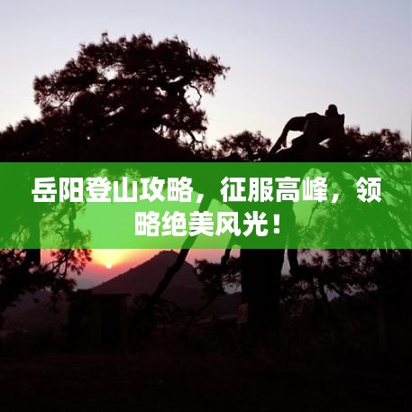 岳阳登山攻略,征服高峰,领略绝美风光!