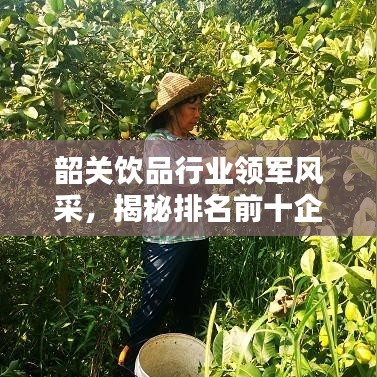 韶关饮品行业领军风采，揭秘排名前十企业深度解析