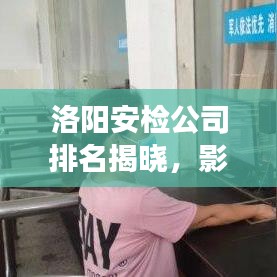 洛阳安检公司排名揭晓，影响力深度剖析