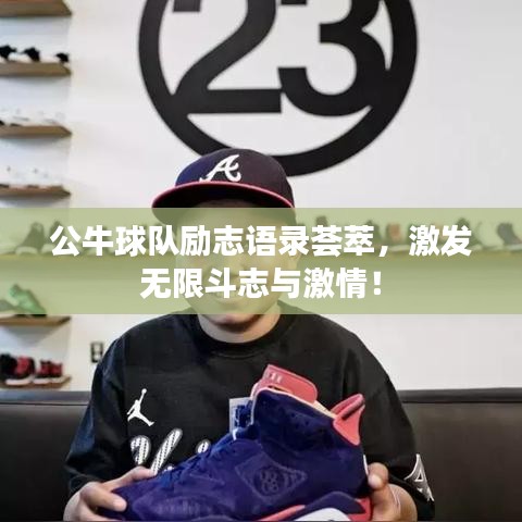 公牛球队励志语录荟萃，激发无限斗志与激情！