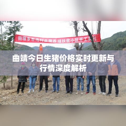 曲靖今日生猪价格实时更新与行情深度解析