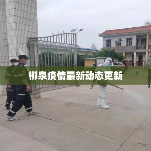 柳泉疫情最新动态更新