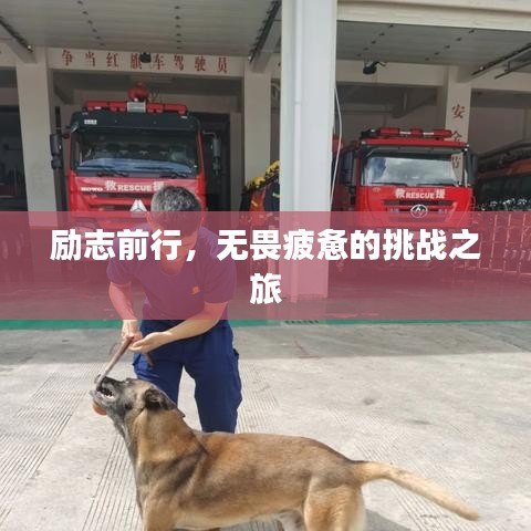 励志前行,无畏疲惫的挑战之旅