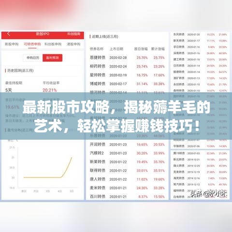 最新股市攻略,揭秘薅羊毛的艺术,轻松掌握赚钱技巧!