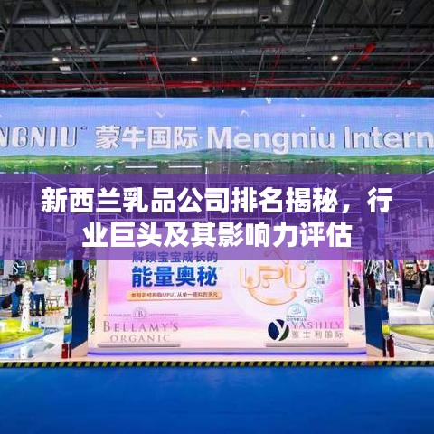 新西兰乳品公司排名揭秘，行业巨头及其影响力评估