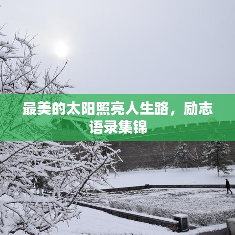 最美的太阳照亮人生路，励志语录集锦