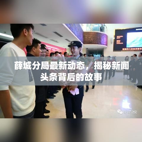 薛城分局最新动态，揭秘新闻头条背后的故事