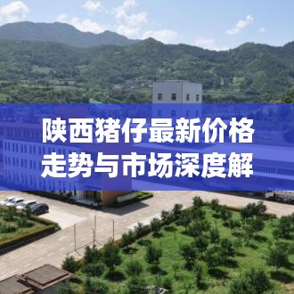 东成西就 第4页