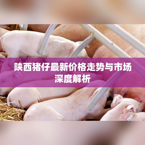 陕西猪仔最新价格走势与市场深度解析