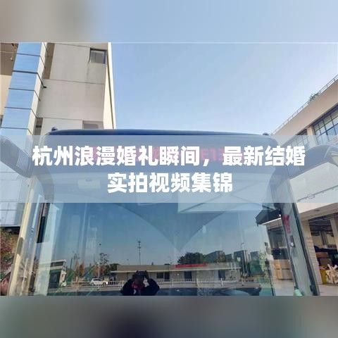 杭州浪漫婚礼瞬间,最新结婚实拍视频集锦