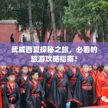 武威西夏探秘之旅，必看的旅游攻略指南！