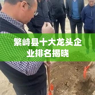 繁峙县十大龙头企业排名揭晓