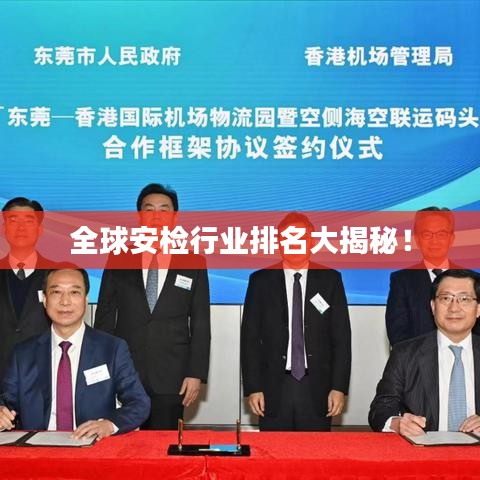 全球安检行业排名大揭秘！