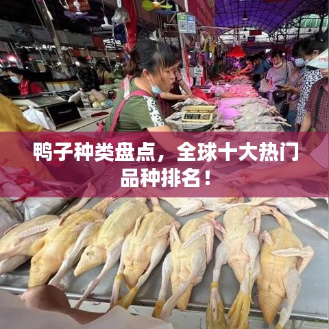 鸭子种类盘点，全球十大热门品种排名！