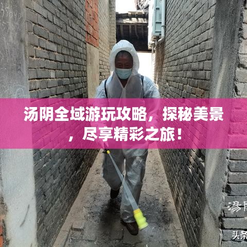汤阴全域游玩攻略,探秘美景,尽享精彩之旅!