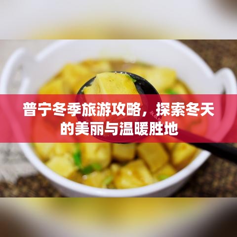 普宁冬季旅游攻略,探索冬天的美丽与温暖胜地