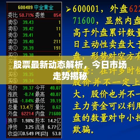 股票最新动态解析，今日市场走势揭秘
