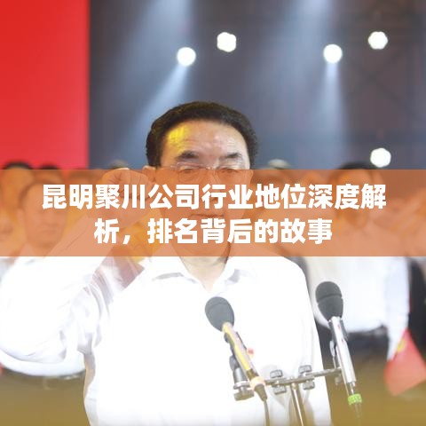 昆明聚川公司行业地位深度解析，排名背后的故事