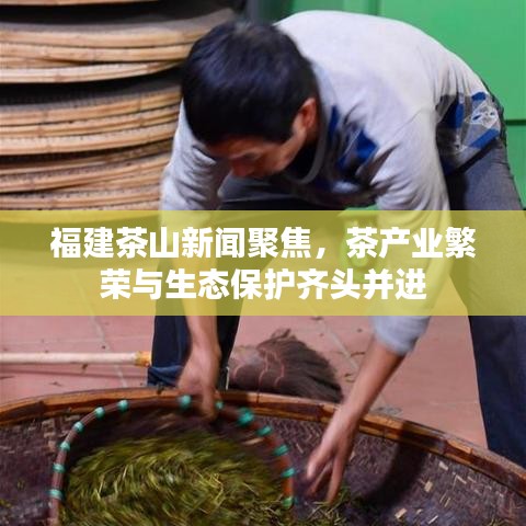 福建茶山新闻聚焦，茶产业繁荣与生态保护齐头并进