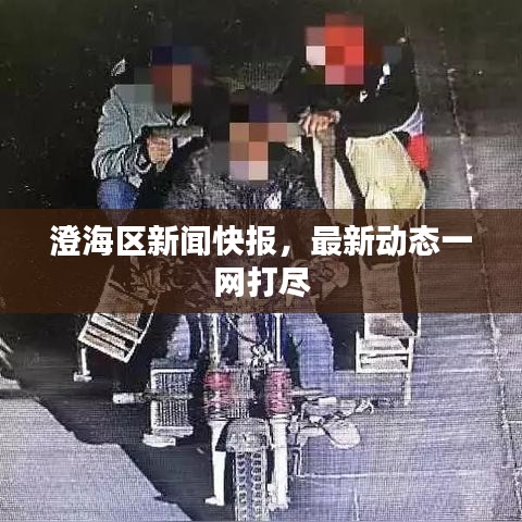 澄海区新闻快报,最新动态一网打尽