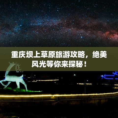 重庆坝上草原旅游攻略，绝美风光等你来探秘！