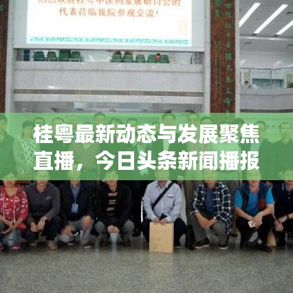 桂粤最新动态与发展聚焦直播，今日头条新闻播报