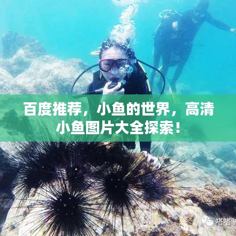 半截鸟木 第4页