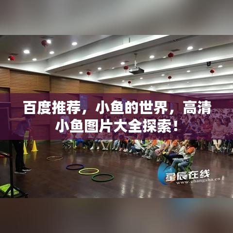 百度推荐,小鱼的世界,高清小鱼图片大全探索!