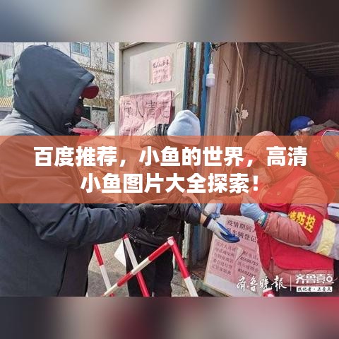 百度推荐,小鱼的世界,高清小鱼图片大全探索!