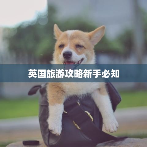 英国旅游攻略新手必知